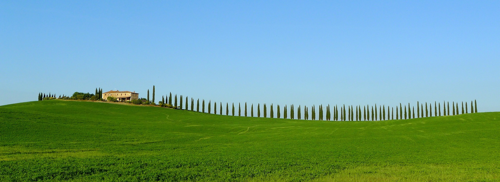 Private Tuscany Food and Wine Tours from Florence